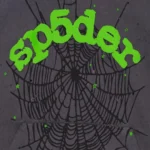 Sp5der Wait Web Hoodie zoom Front